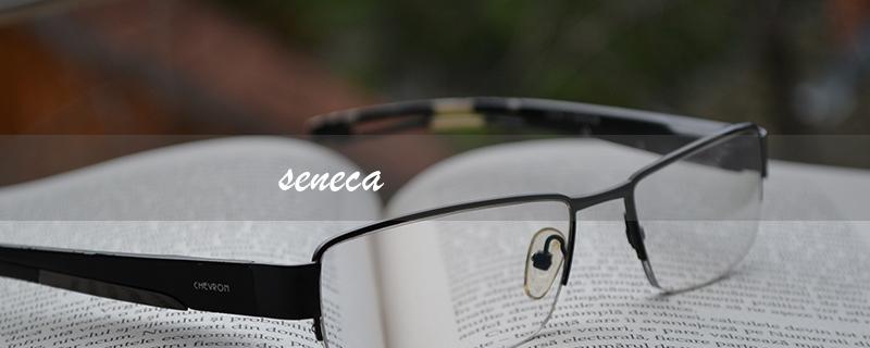 seneca（什么是seneca college）