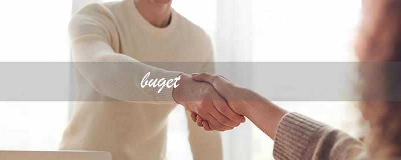 buget（预算了什么）