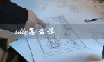 silly怎么读（silly应该怎么读）